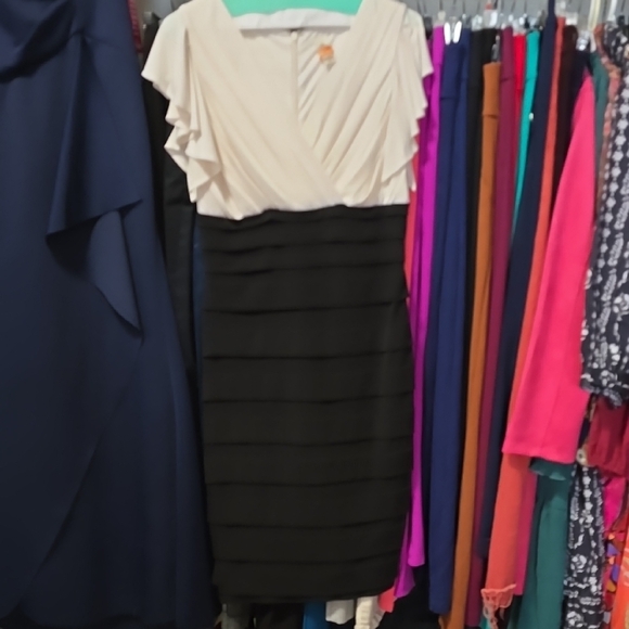 Elegant Black and White Women's Dress - Picture 1 of 4